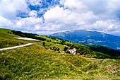 Monte Baldo (Trentino) - declivi a pascolo interrotti da isolati alberi.
